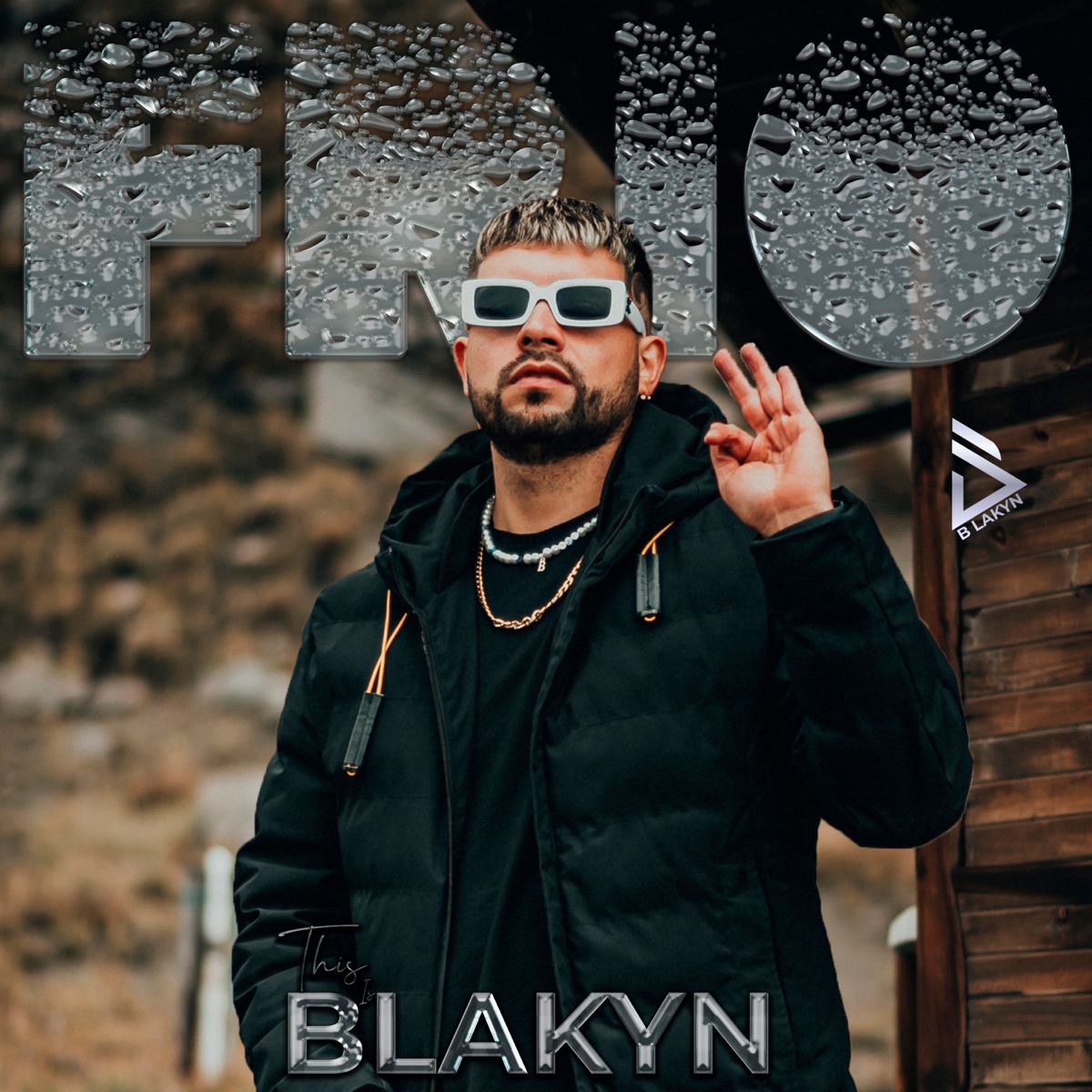 Frio - Single by Blakyn album cover