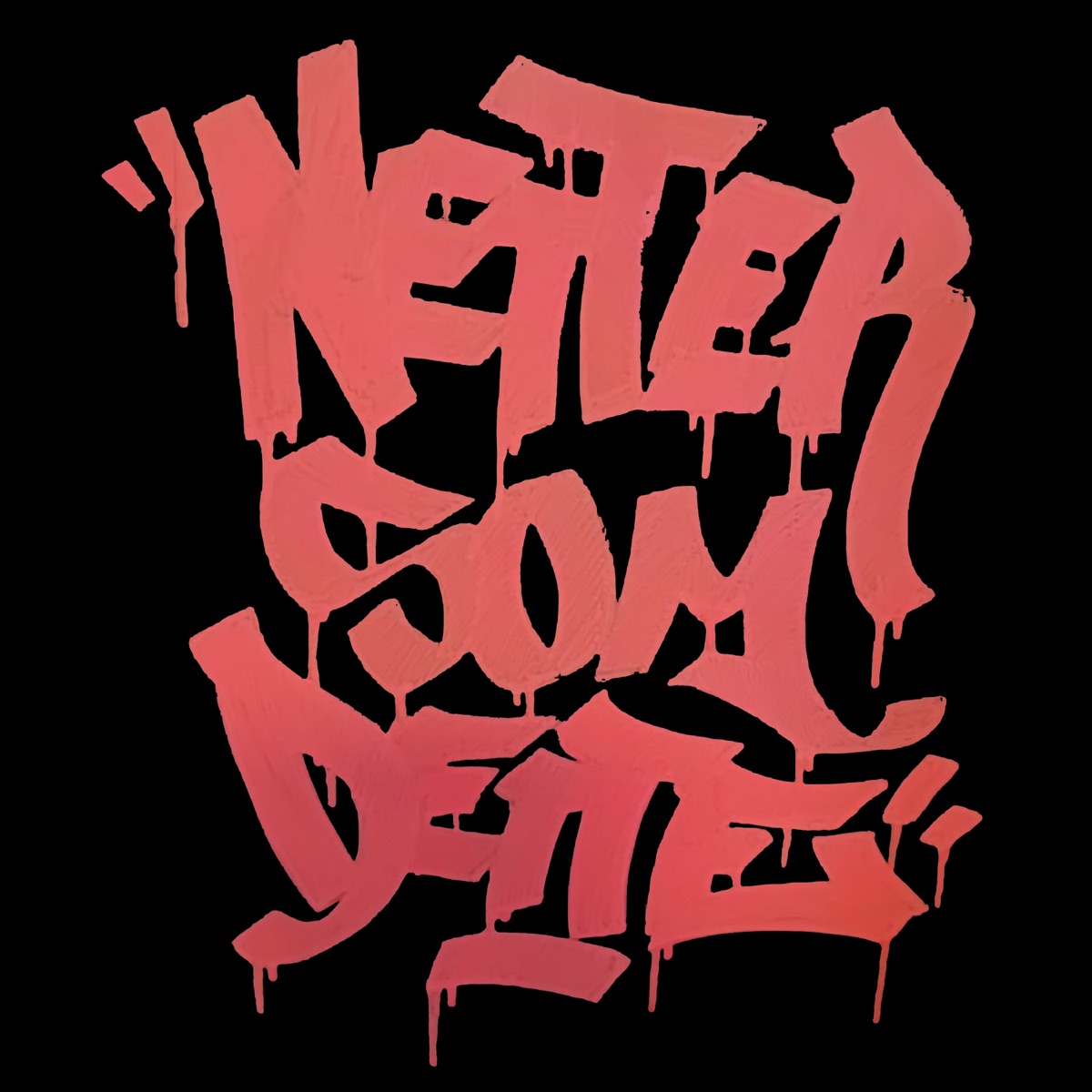 Netter Som Dette - Single by Pant album cover