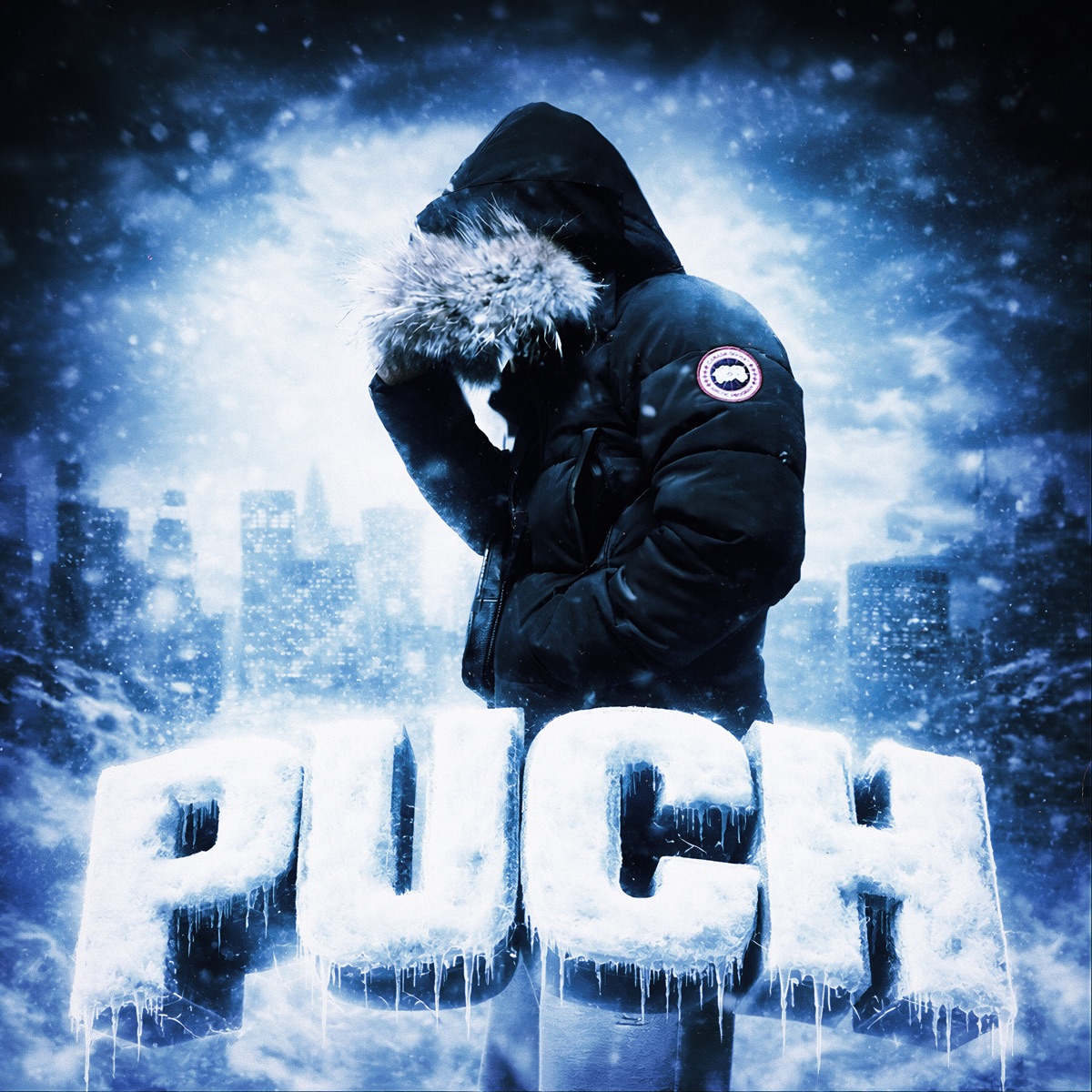 PUCH - Single by Brtl, Wu & prod. adi album cover