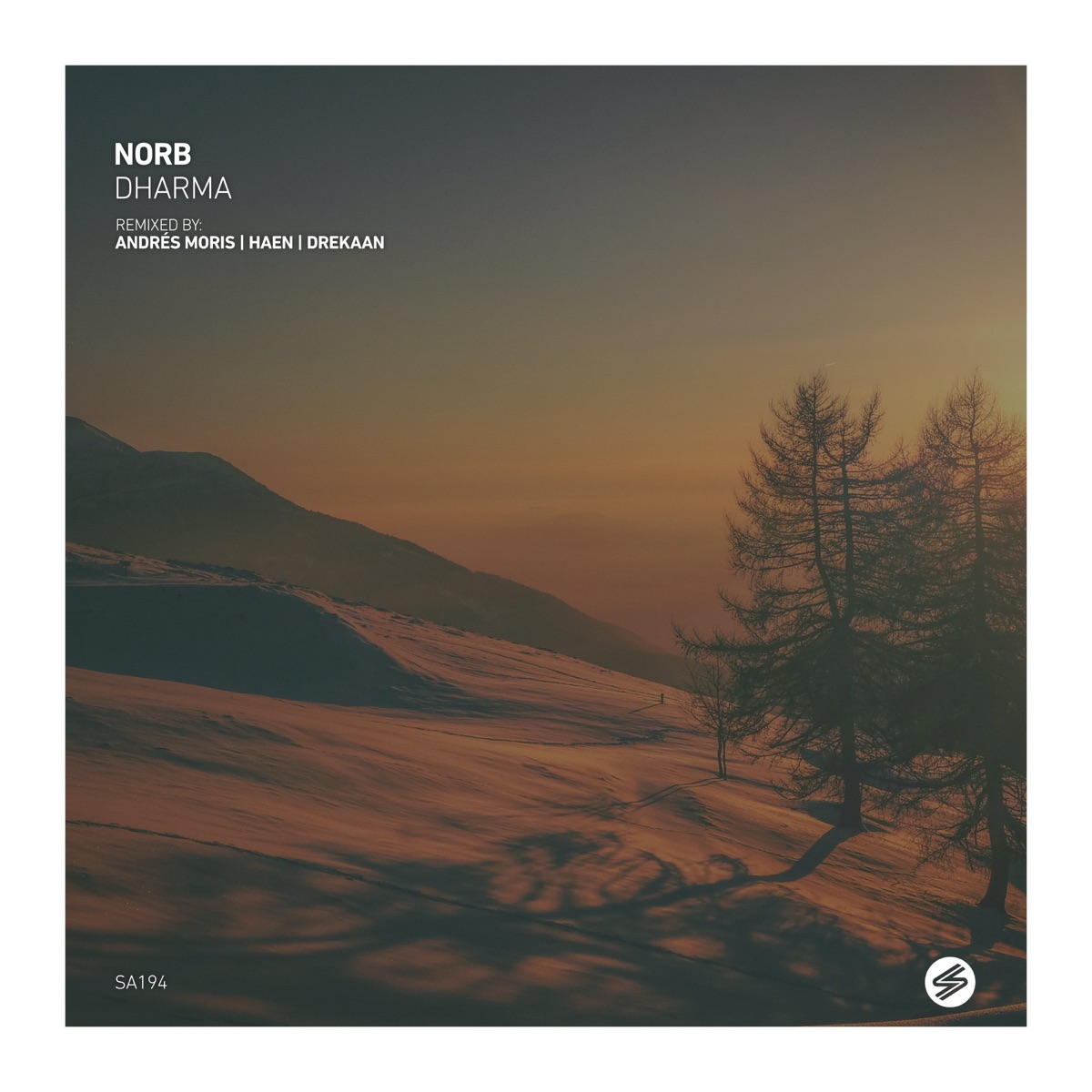 Ananda (Drekaan Remix) - Single by NorB album cover