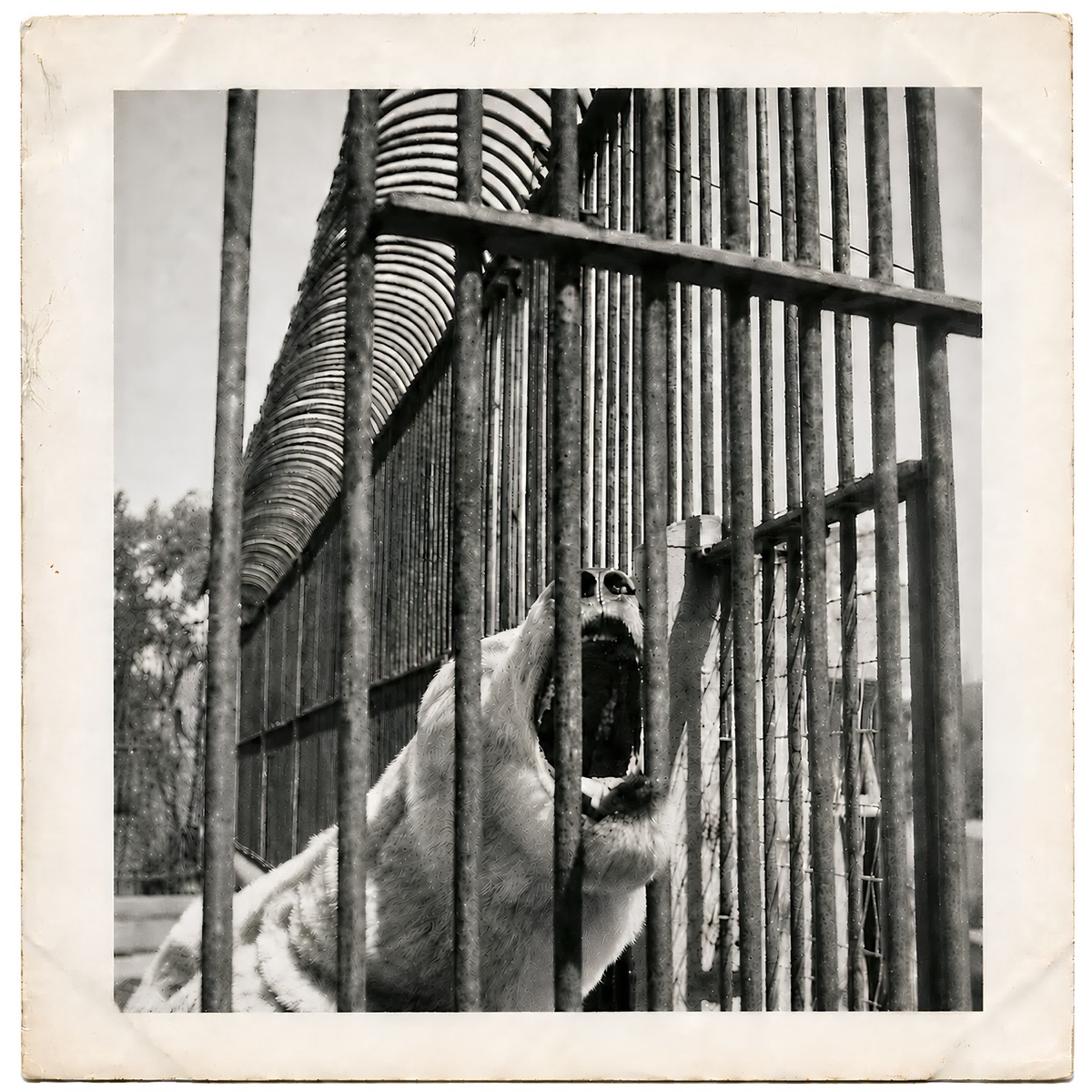 Facetten - Single by Norman Gein album cover