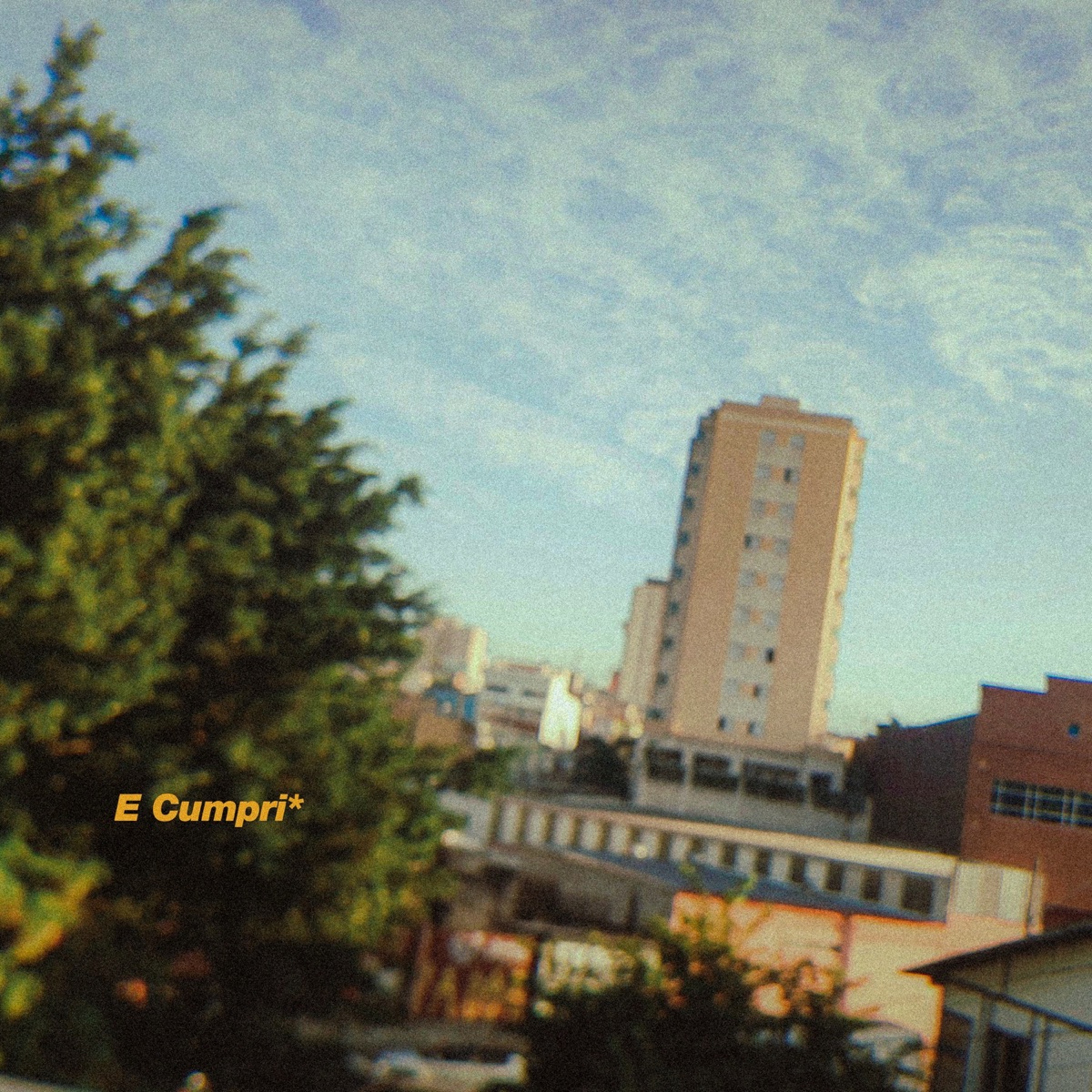 E Cumpri* - Single by Flower album cover
