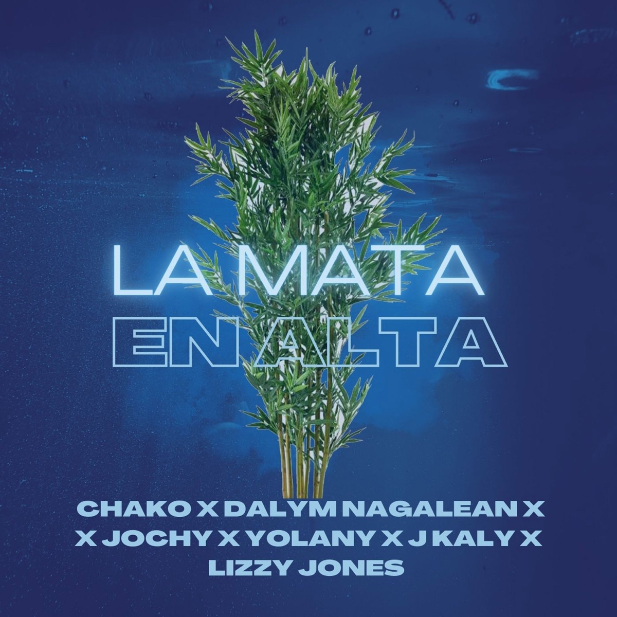 La Mata En El Alta (feat. J Kaly La Influencia & Lizzy Jones) - Single by Chako La Melodia Con Clase, Dalyn Nagalean, Jochy & Yolany album cover