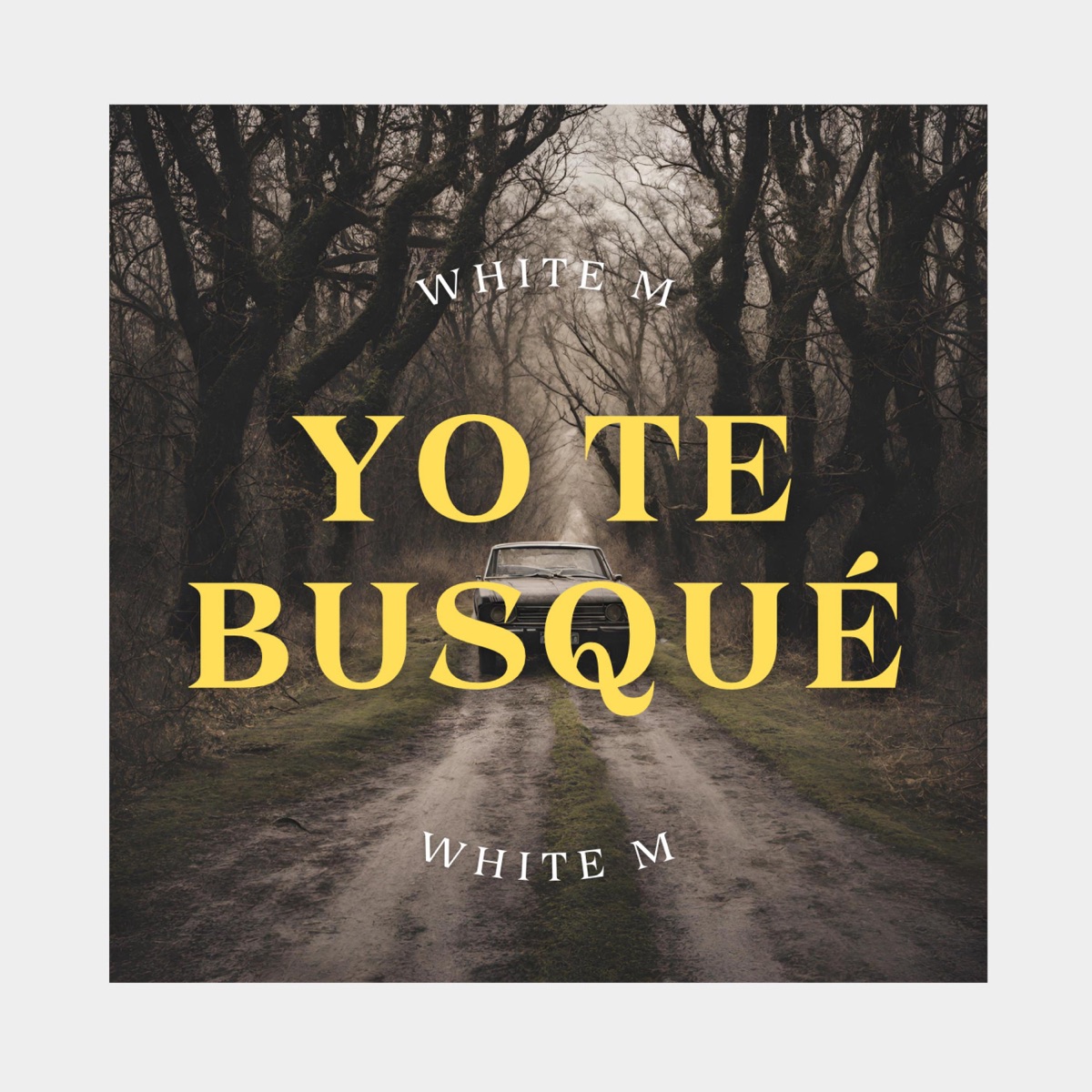 Yo Te Busqué - Single by White M album cover