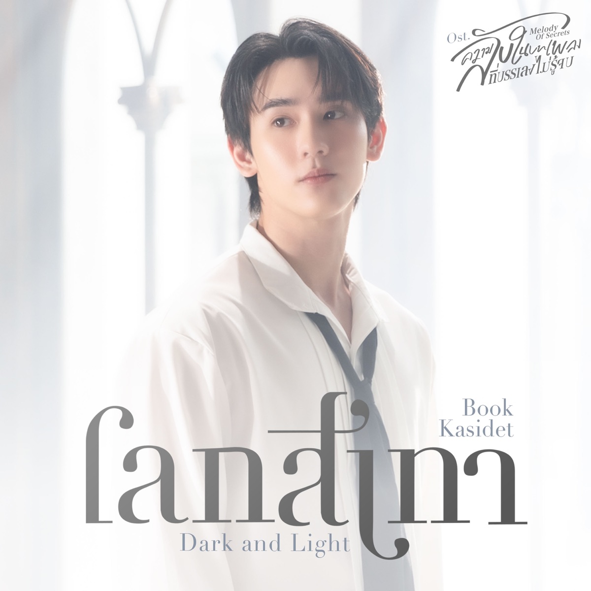 โลกสีเทา (Dark and Light) [เพลงประกอบซีรีส์ "ความลับในบทเพลงที่บรรเลงไม่รู้จบ Melody of Secrets"] - Single by Book Kasidet album cover