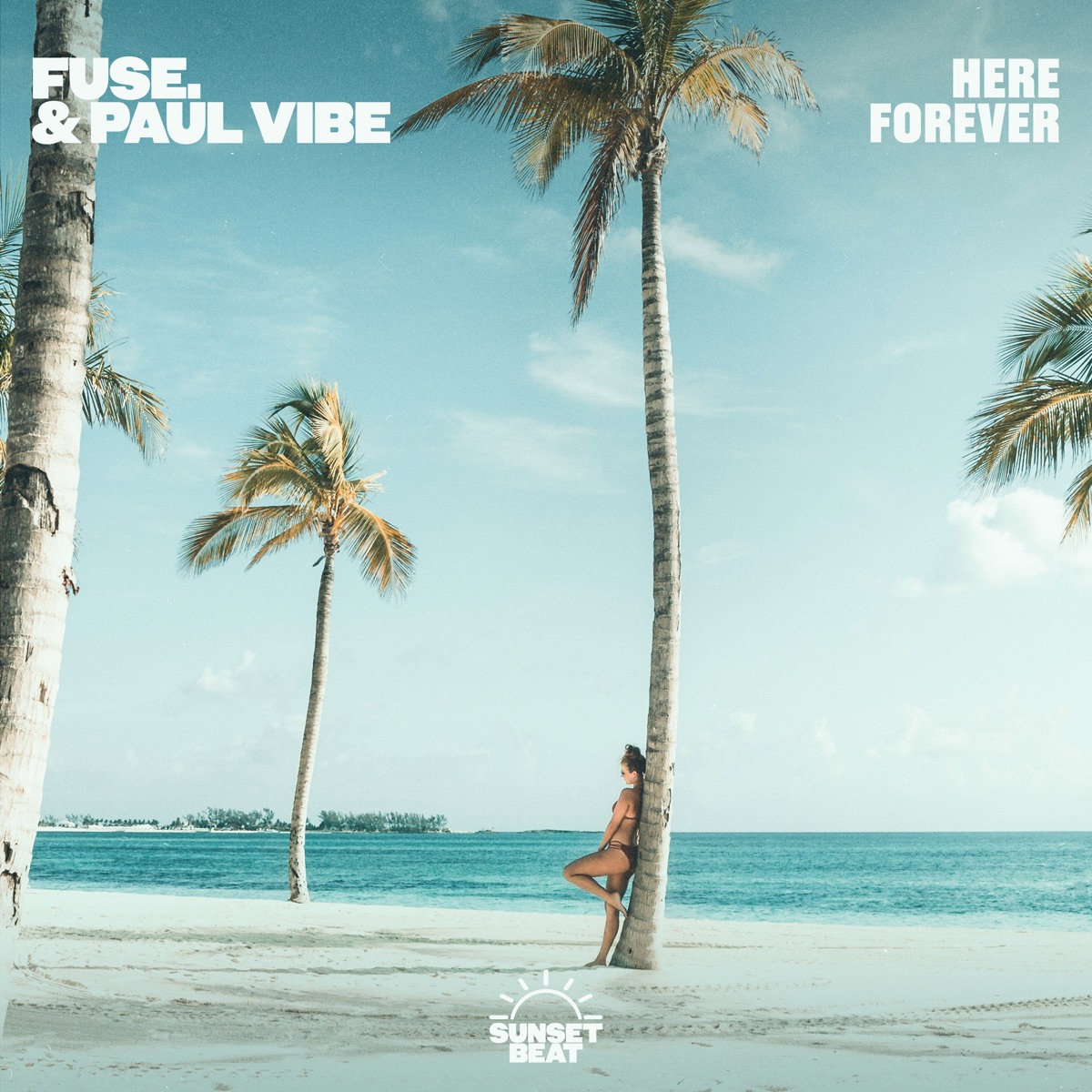 Here Forever - Single by fuse. & Paul Vibe album cover