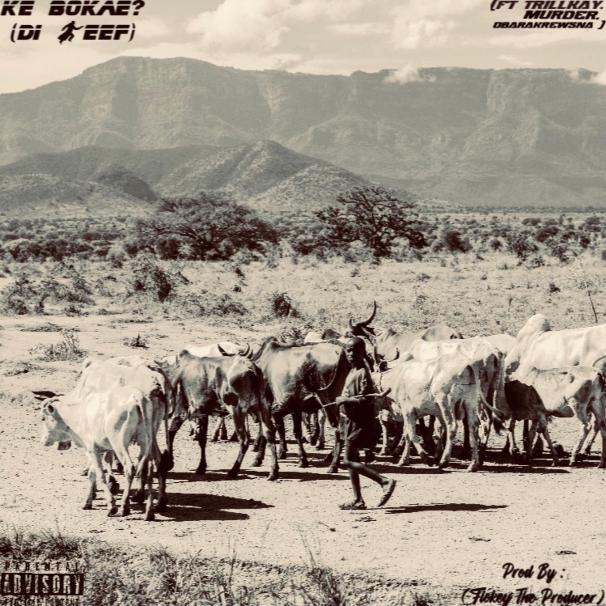 KE BOKAE(DI BEEF) (feat. TrillKay, Murder & Obarakrewsna) - Single by Thaboow_Thimmy album cover