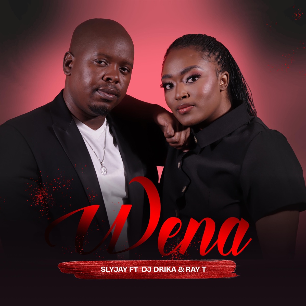 Wena (feat. DJ Drika & Ray T) - Single by Slyjay album cover