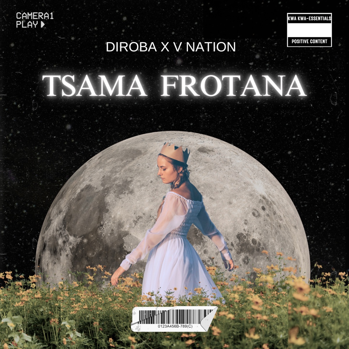Tsa mafrotana - EP by Kobus Diroba & V nation album cover