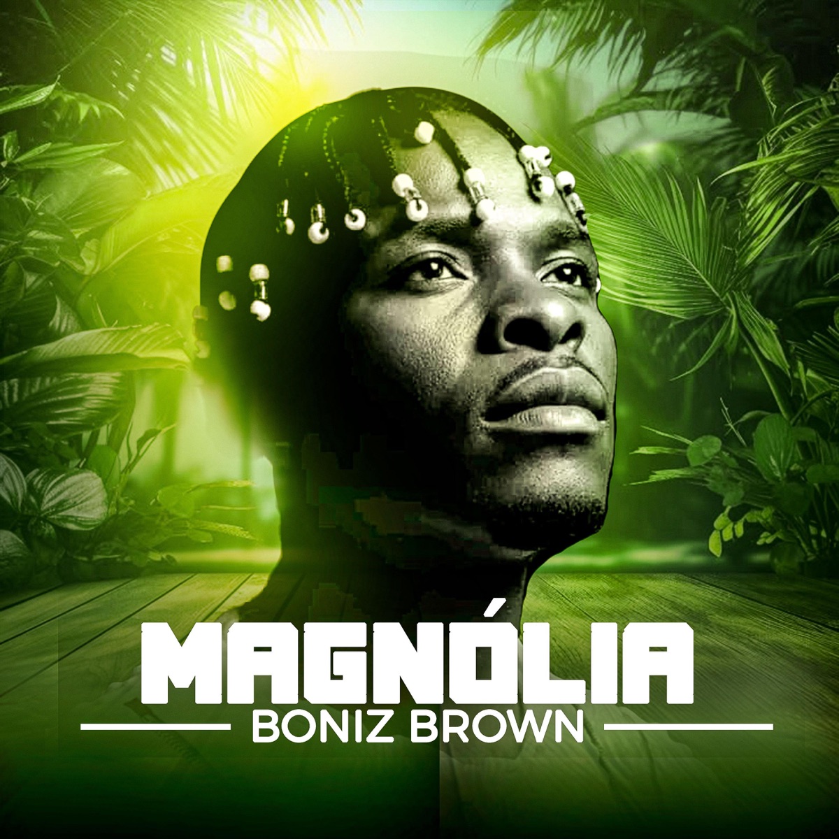 Diculo - Single by Boniz Brown & Cazil Musik album cover