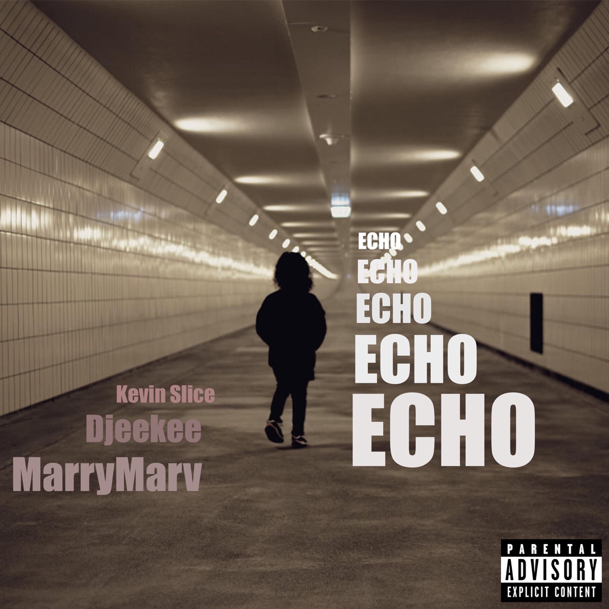 Echo - Single by RE:UNIE, MarryMarv & Kevin Slice album cover