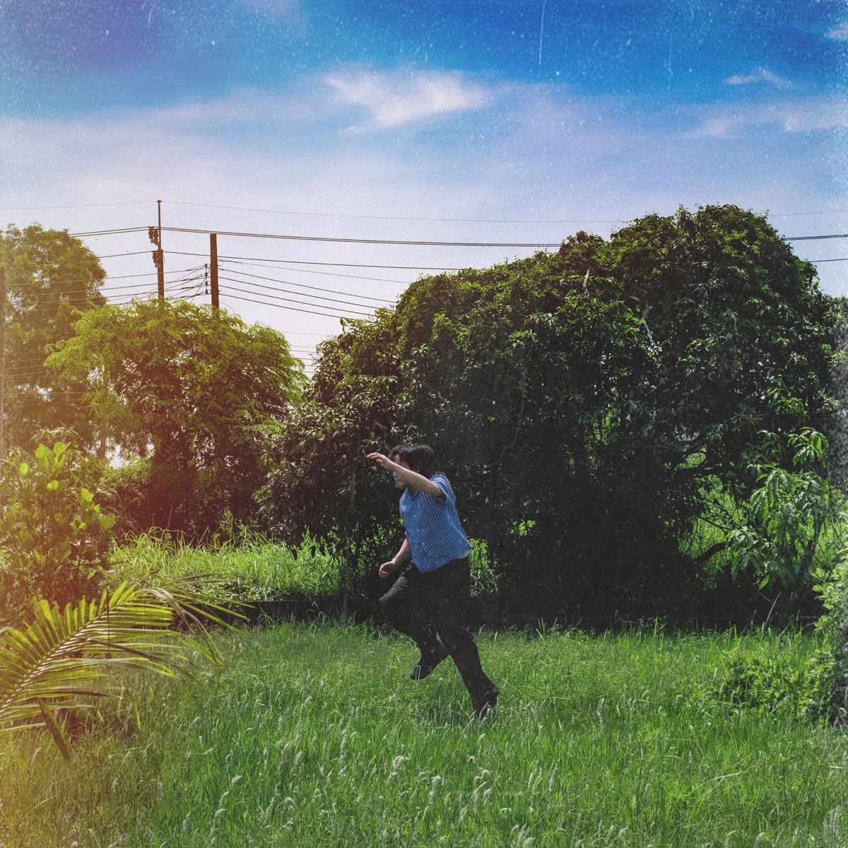 should've known better - Single by HNATA album cover
