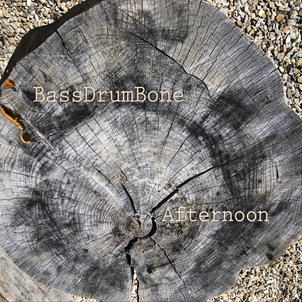 Afternoon by BassDrumBone album cover