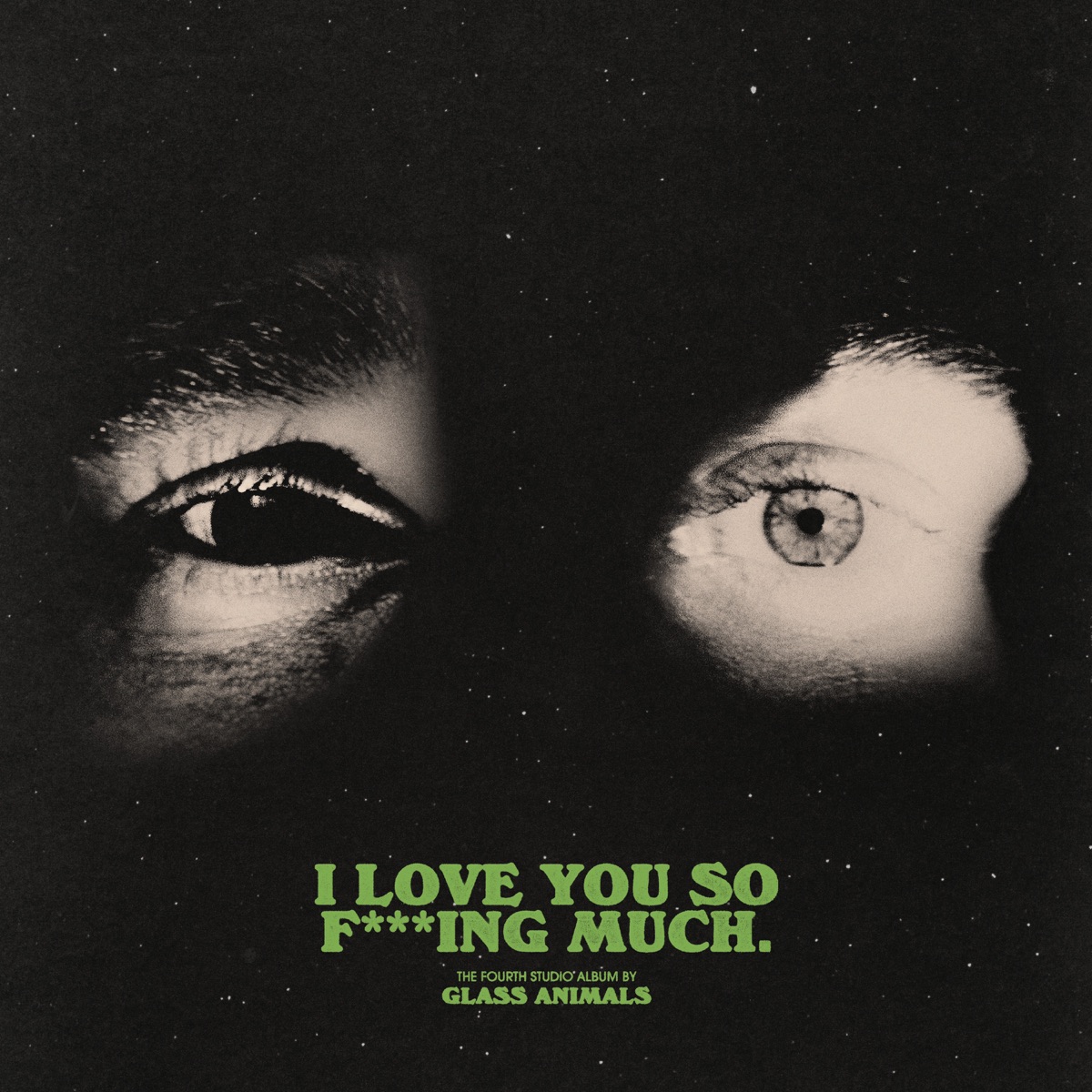 I Love You So F***ing Much by Glass Animals album cover