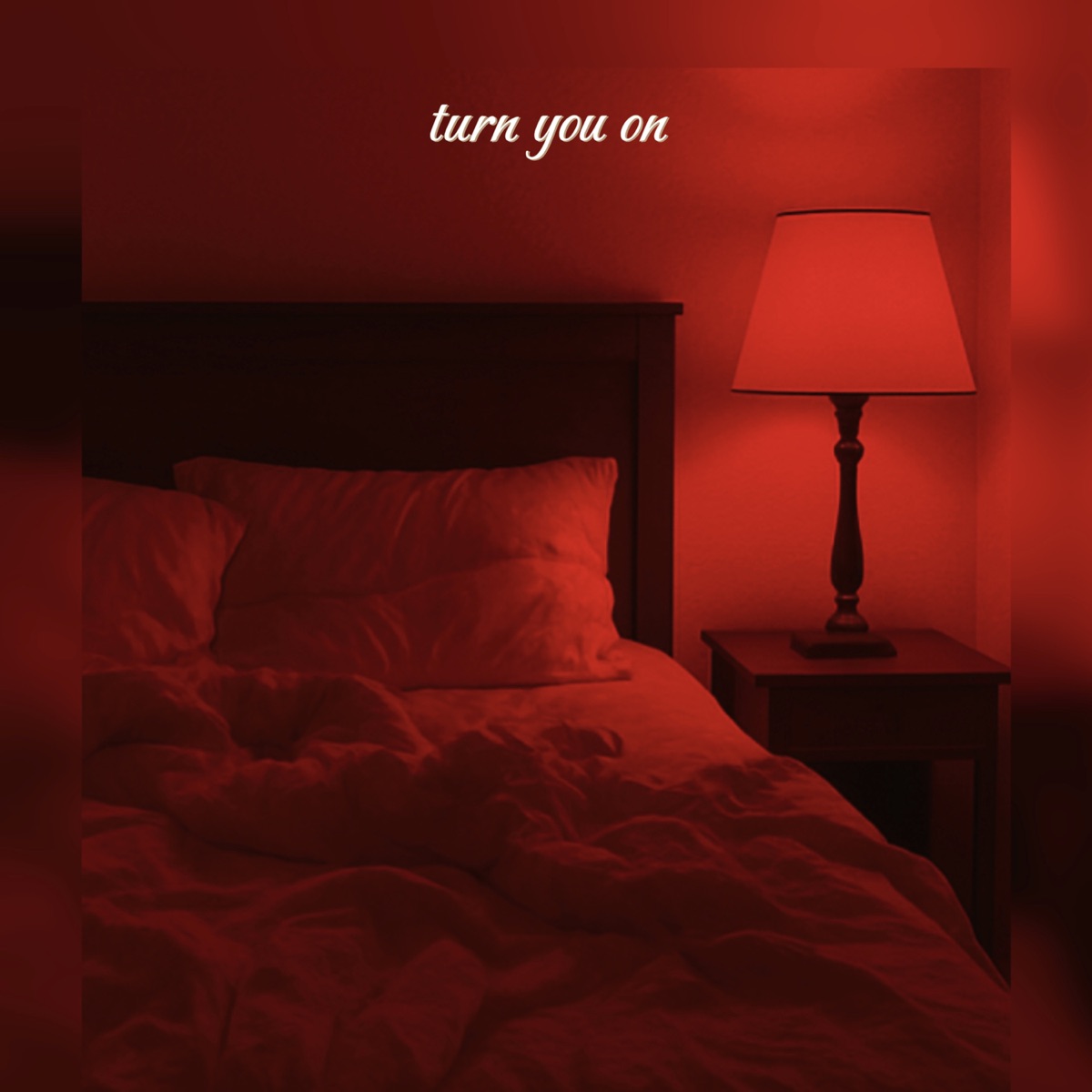 TURN YOU ON - Single by TRAY album cover
