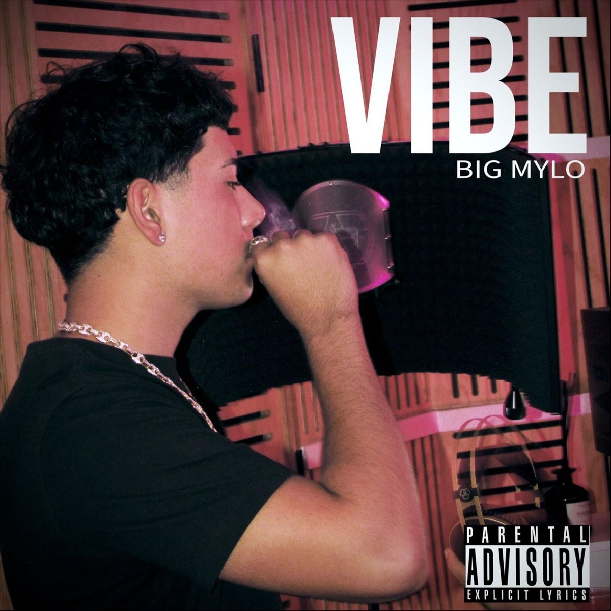 Vibe - Single by Big Mylo album cover
