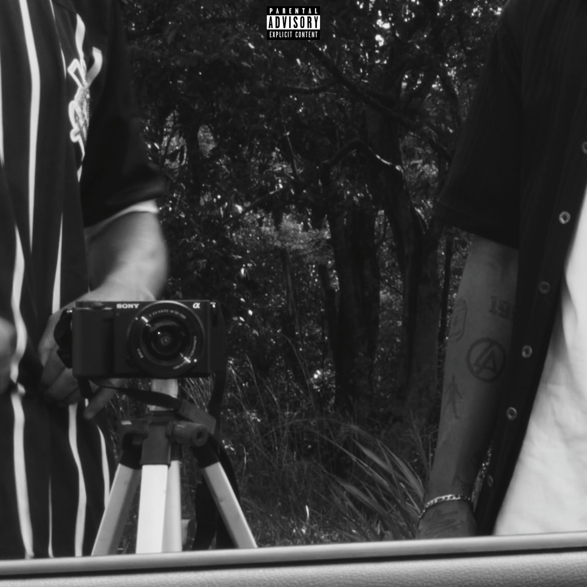 Sem Terror & Sem Mágoa - Single by Omoi & DN$ Gabriel album cover