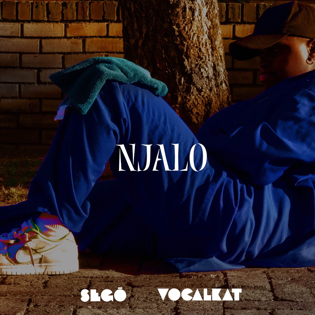 Njalo - Single by Segō & Vocalkat album cover