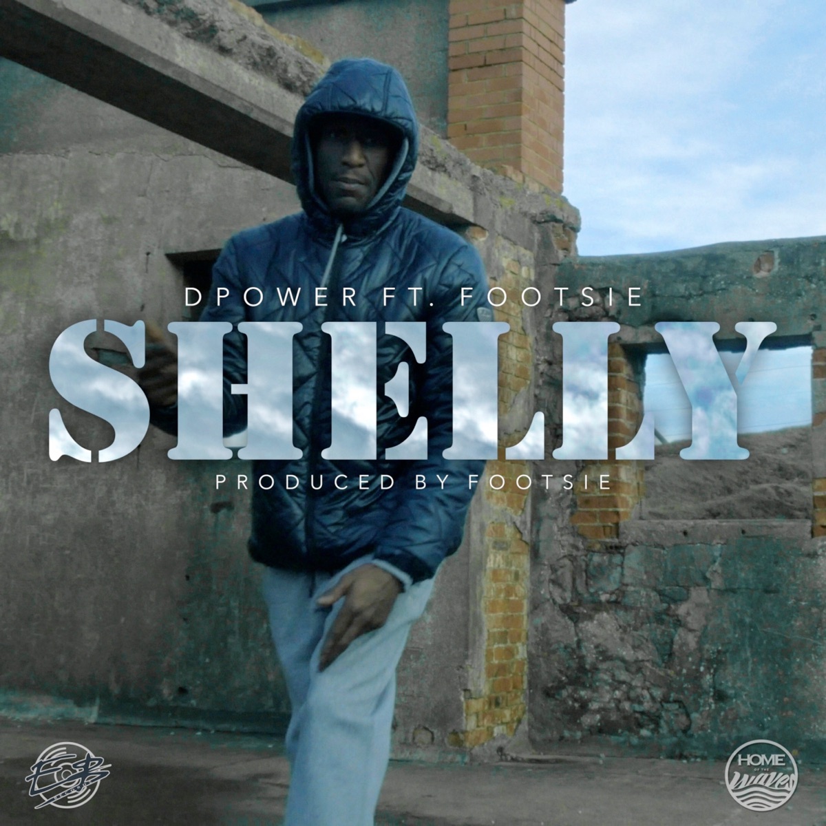Shelly (feat. Footsie) - Single by Diesle D-Power album cover
