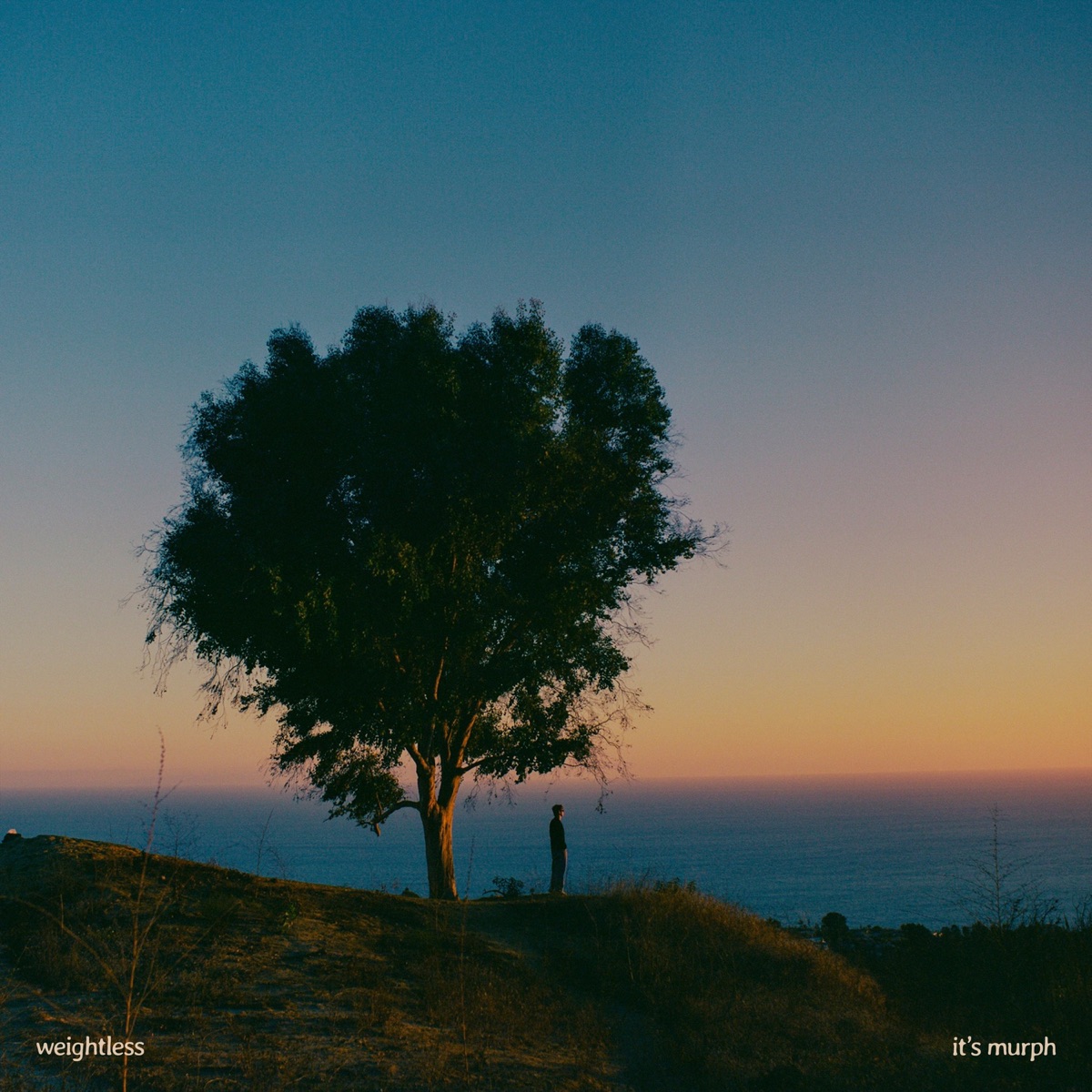 Weightless by it's murph album cover