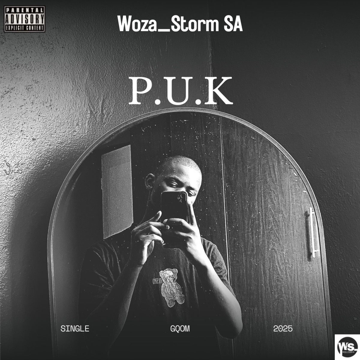 P.U.K - Single by Woza_Storm SA album cover