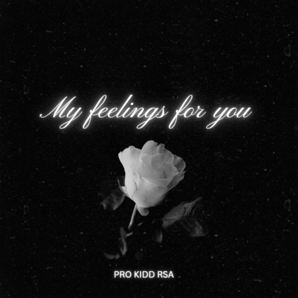 My feelings for you - Single by Pro kidd rsa album cover