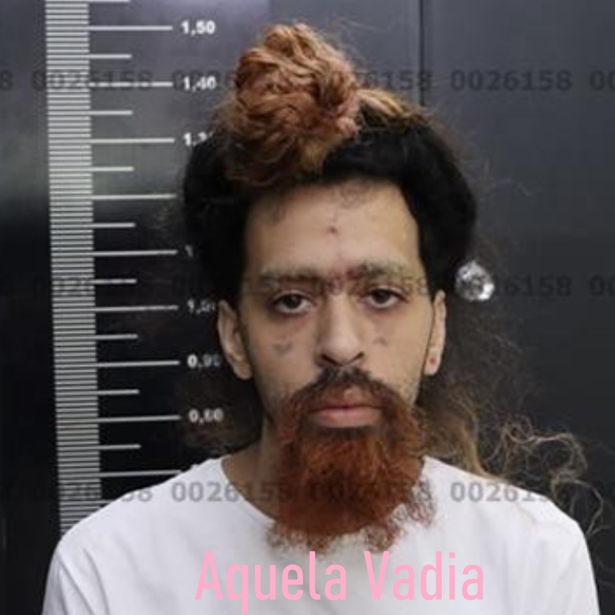 Aquela Vadia - Single by Bender.flac album cover