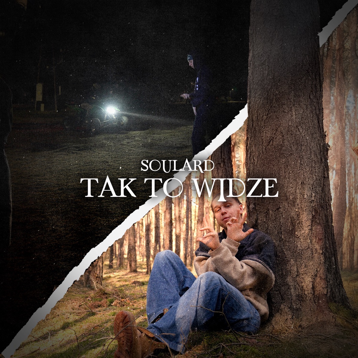 TAK TO WIDZĘ - Single by Soulard & Leeny album cover