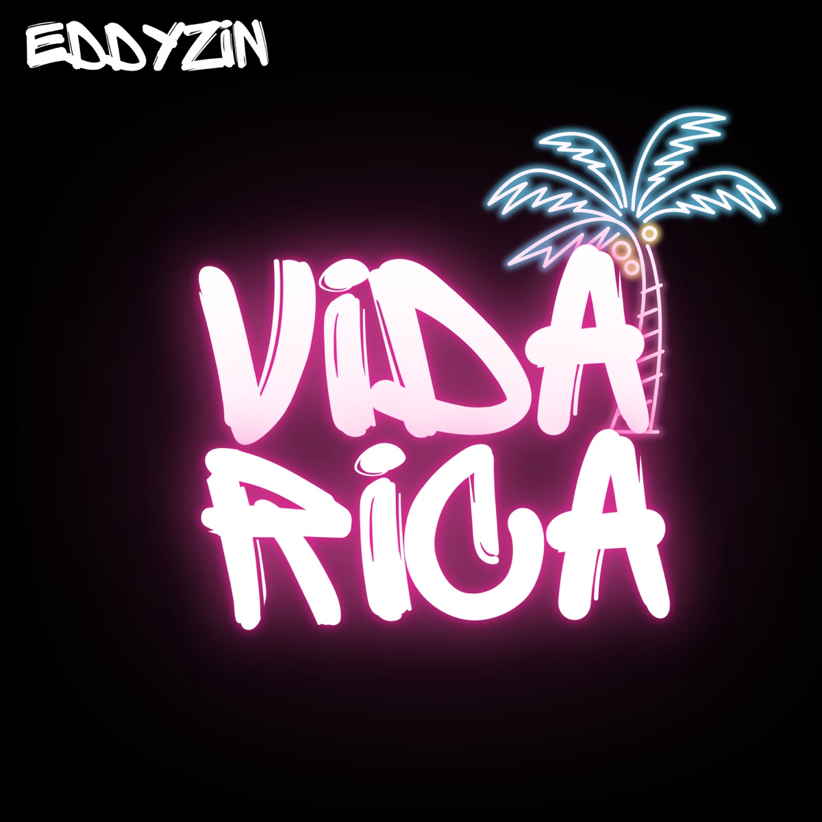 Vida Rica - Single by Eddyzin album cover