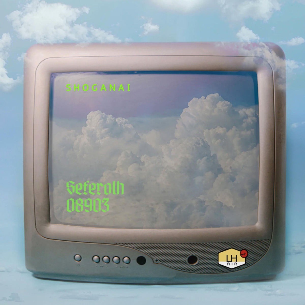 Shoganai - Single by Seferolh album cover
