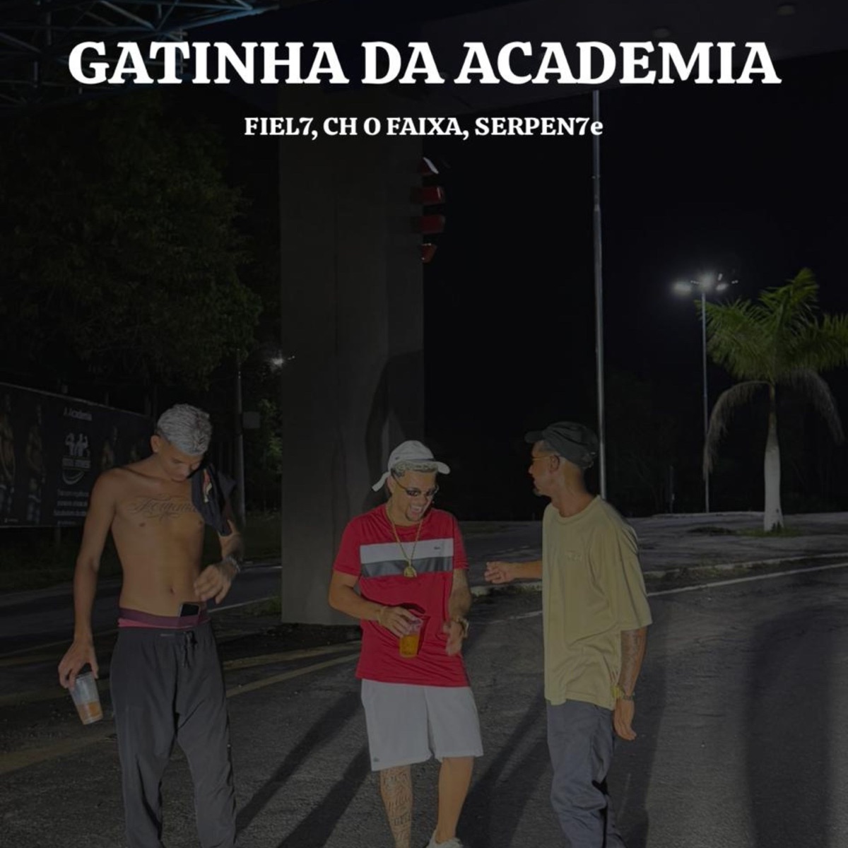 Gatinha Da Academia - Single by FIEL7, DJ CH O FAIXA & Serpen7e album cover