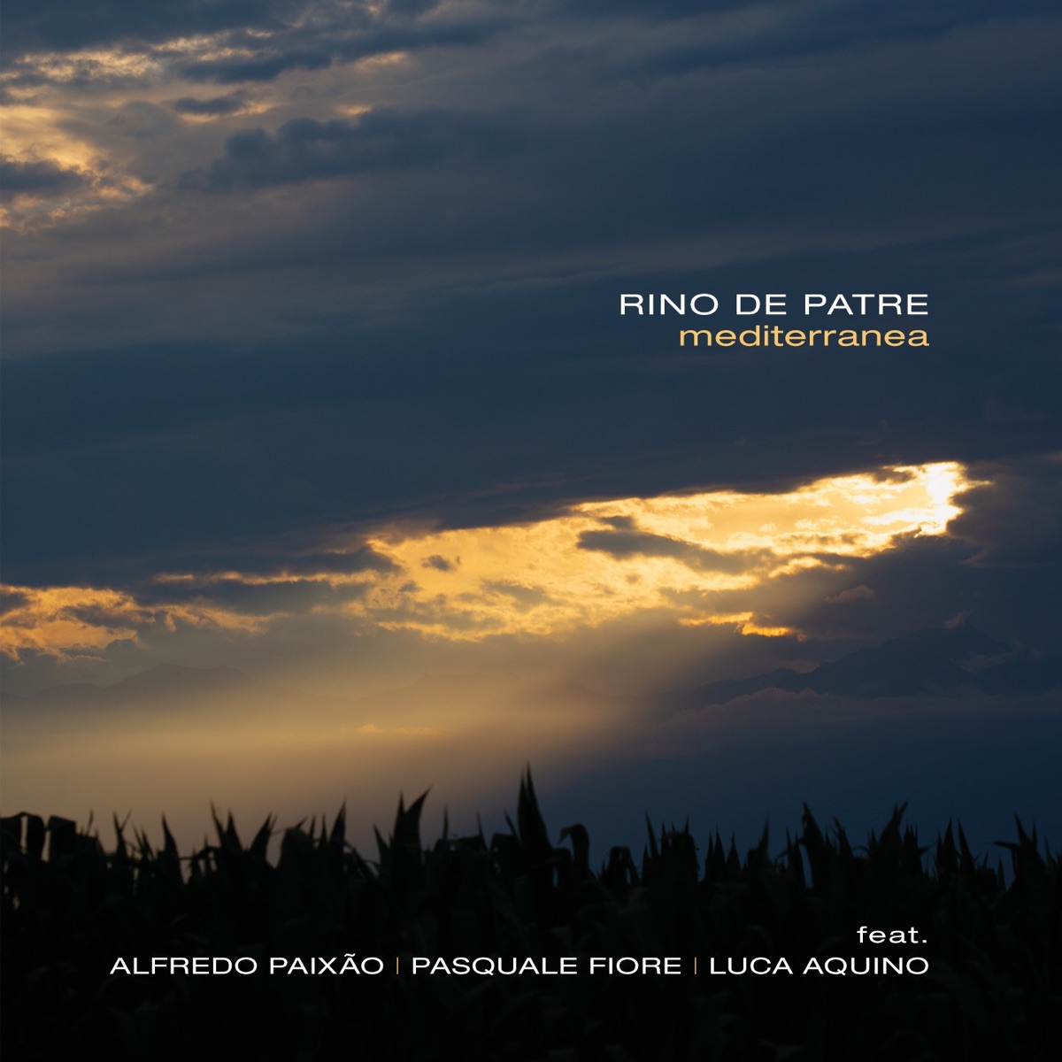 Mediterranea (feat. Pasquale Fiore, Luca Aquino & Alfredo Paixão) - Single by Rino De Patre album cover