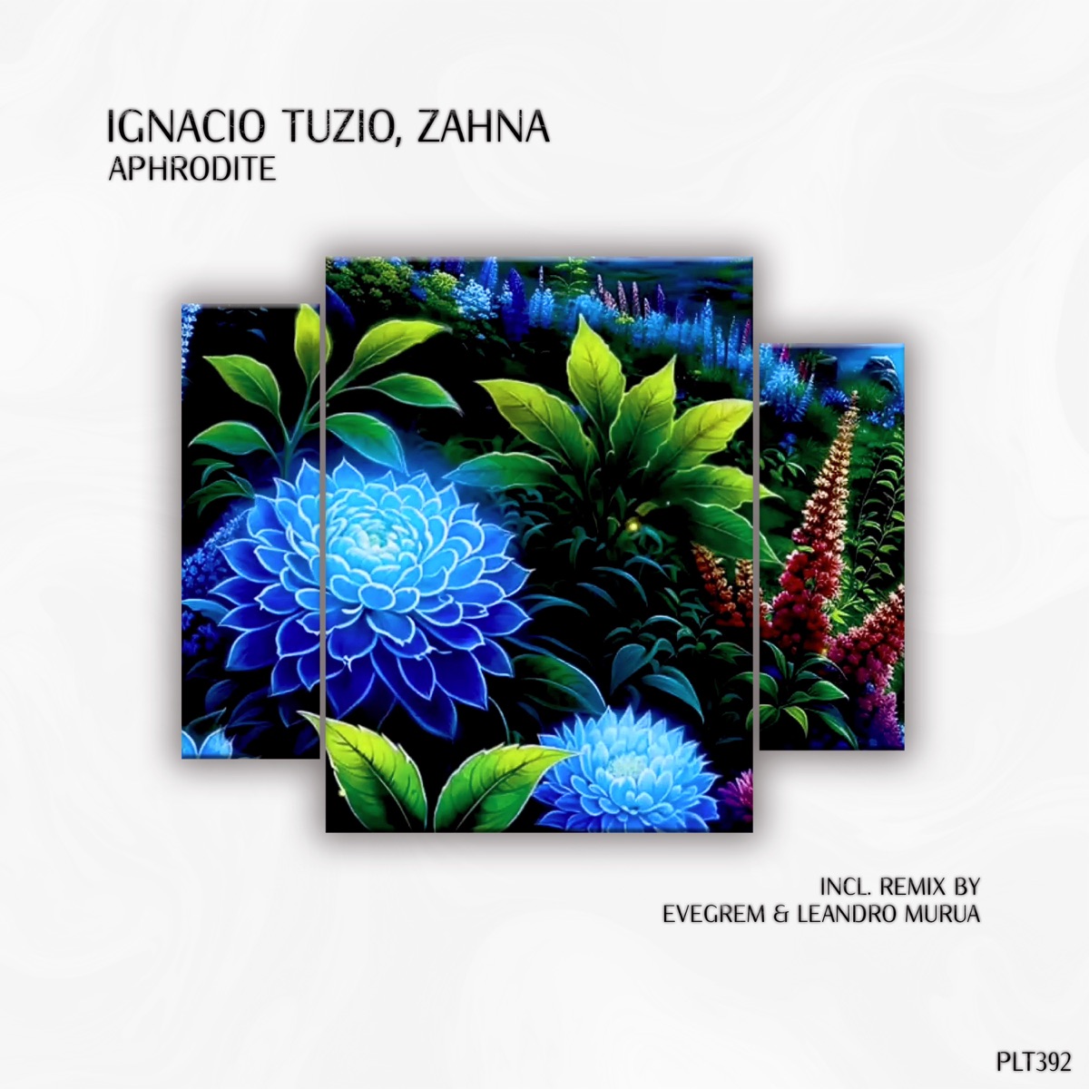 Aphrodite (Evegrem & Leandro Murua Remix) - Single by Ignacio Tuzio, Zahna, Evegrem & Leandro Murua album cover