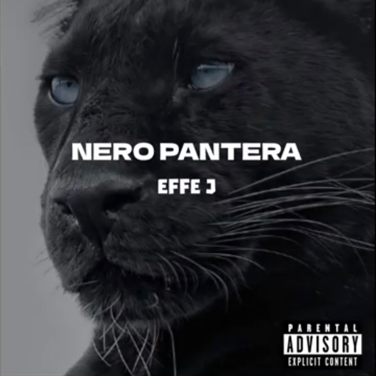 NERO PANTERA - Single by EFFE J album cover