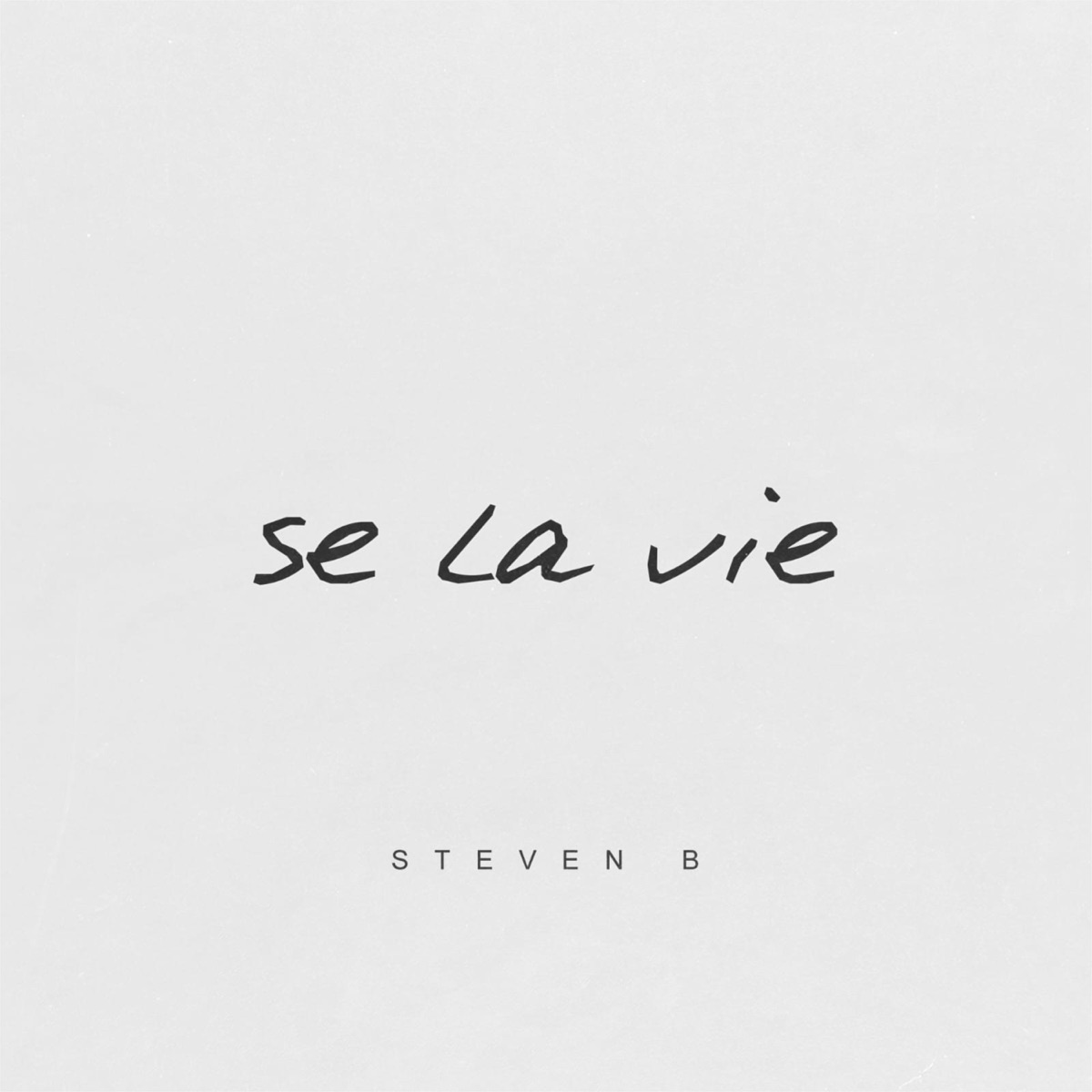 Se la vie - Single by Steven B album cover