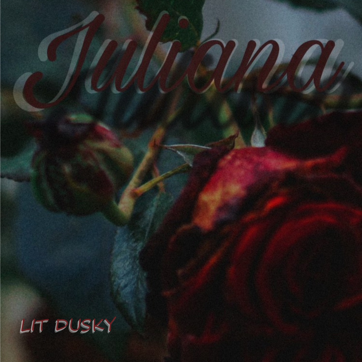 Juliana - Single by LIT DUSKY album cover