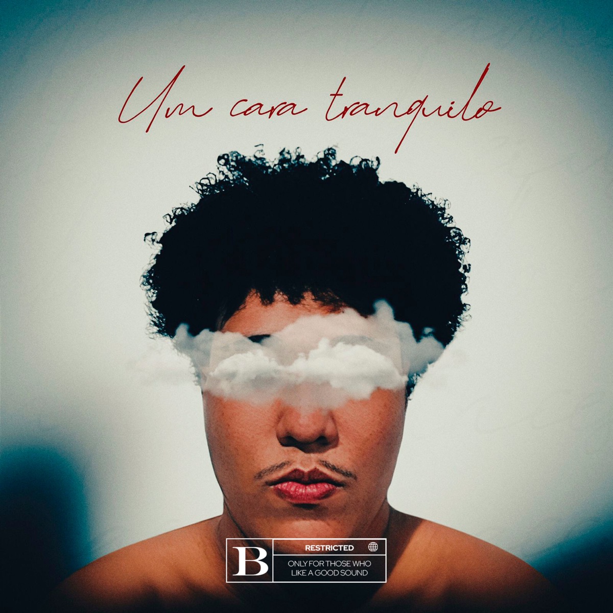 Um Cara Tranquilo by Bigg Jayy album cover