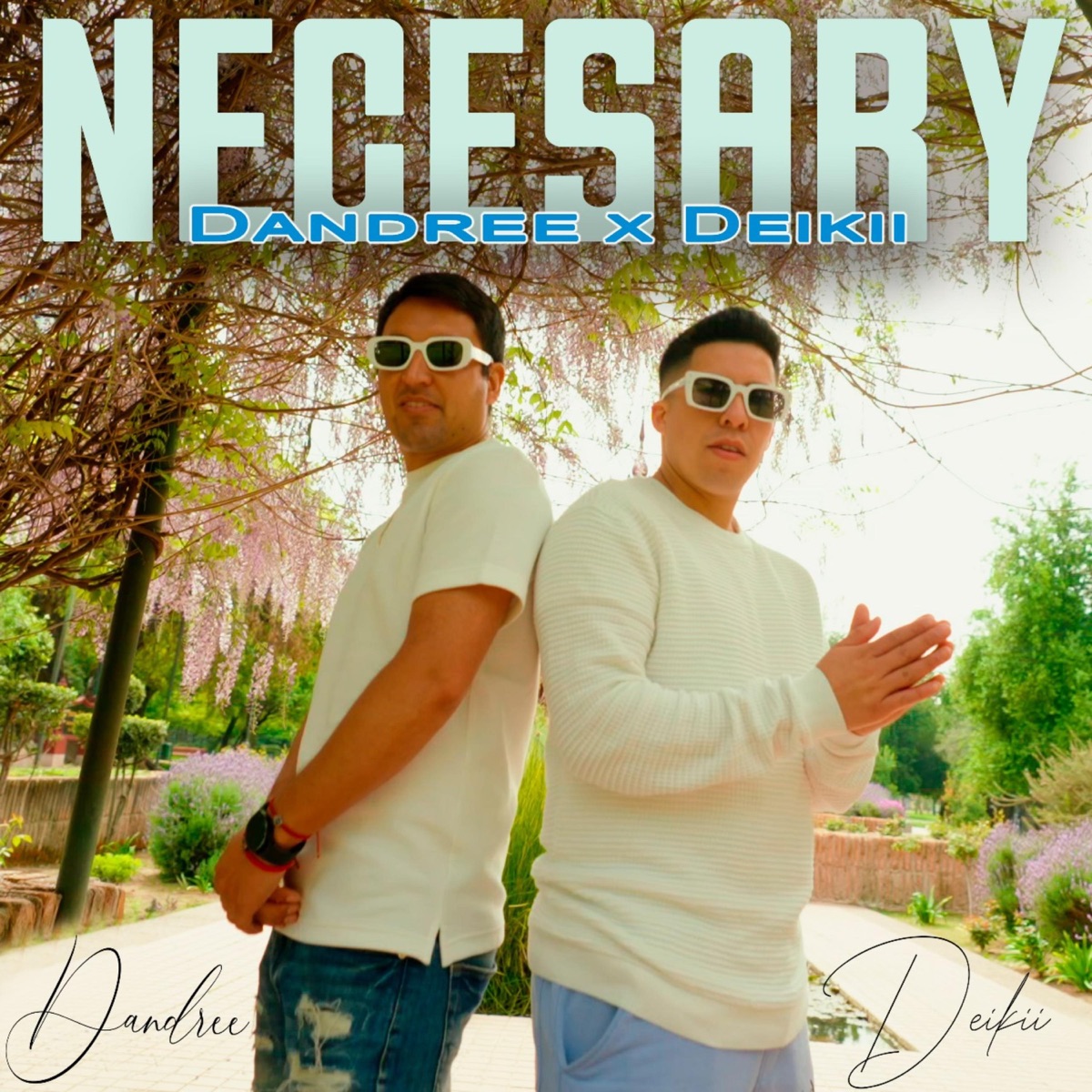 Necesary (feat. Deikii) - Single by Dandree album cover