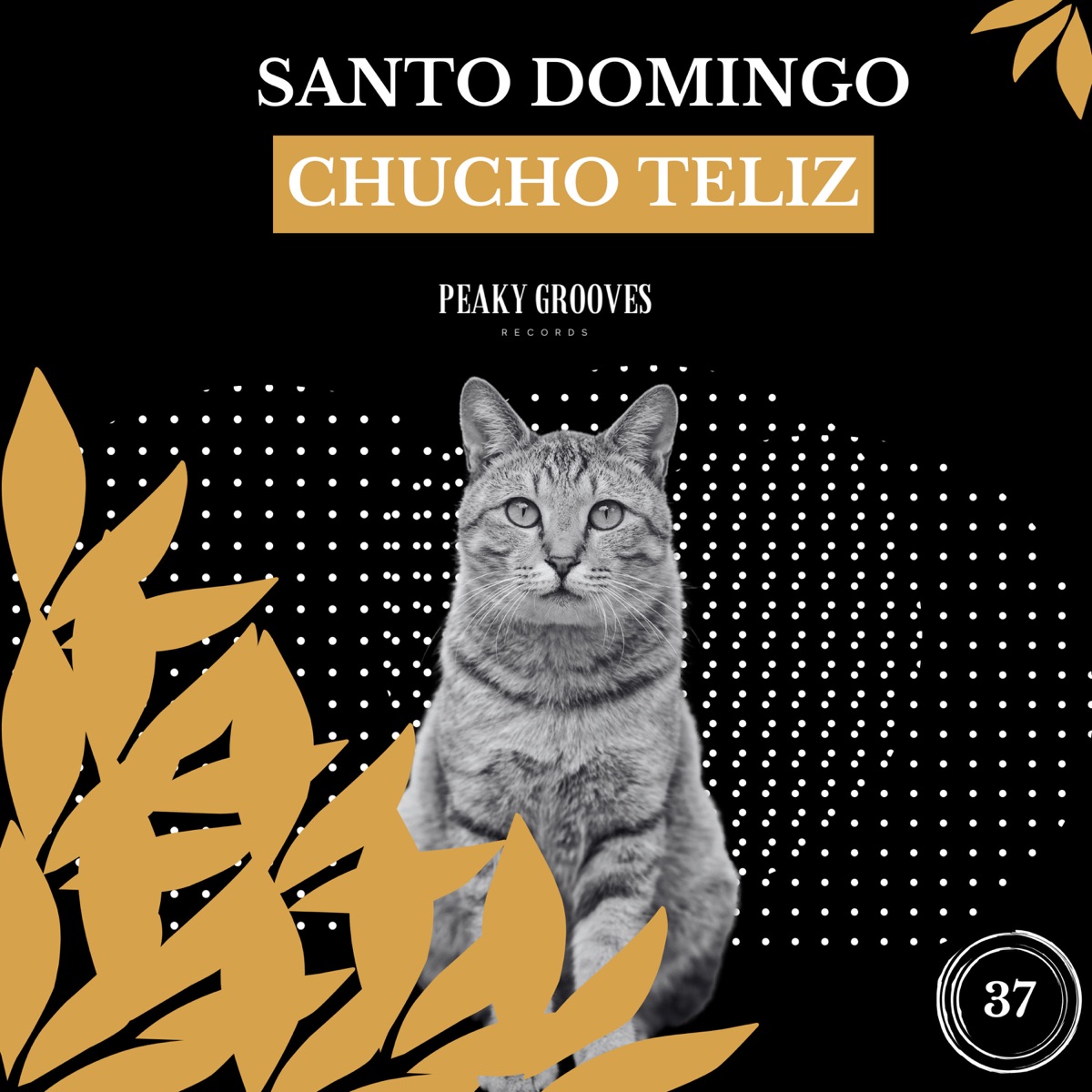 Santo Domingo - Single by Chucho Teliz album cover