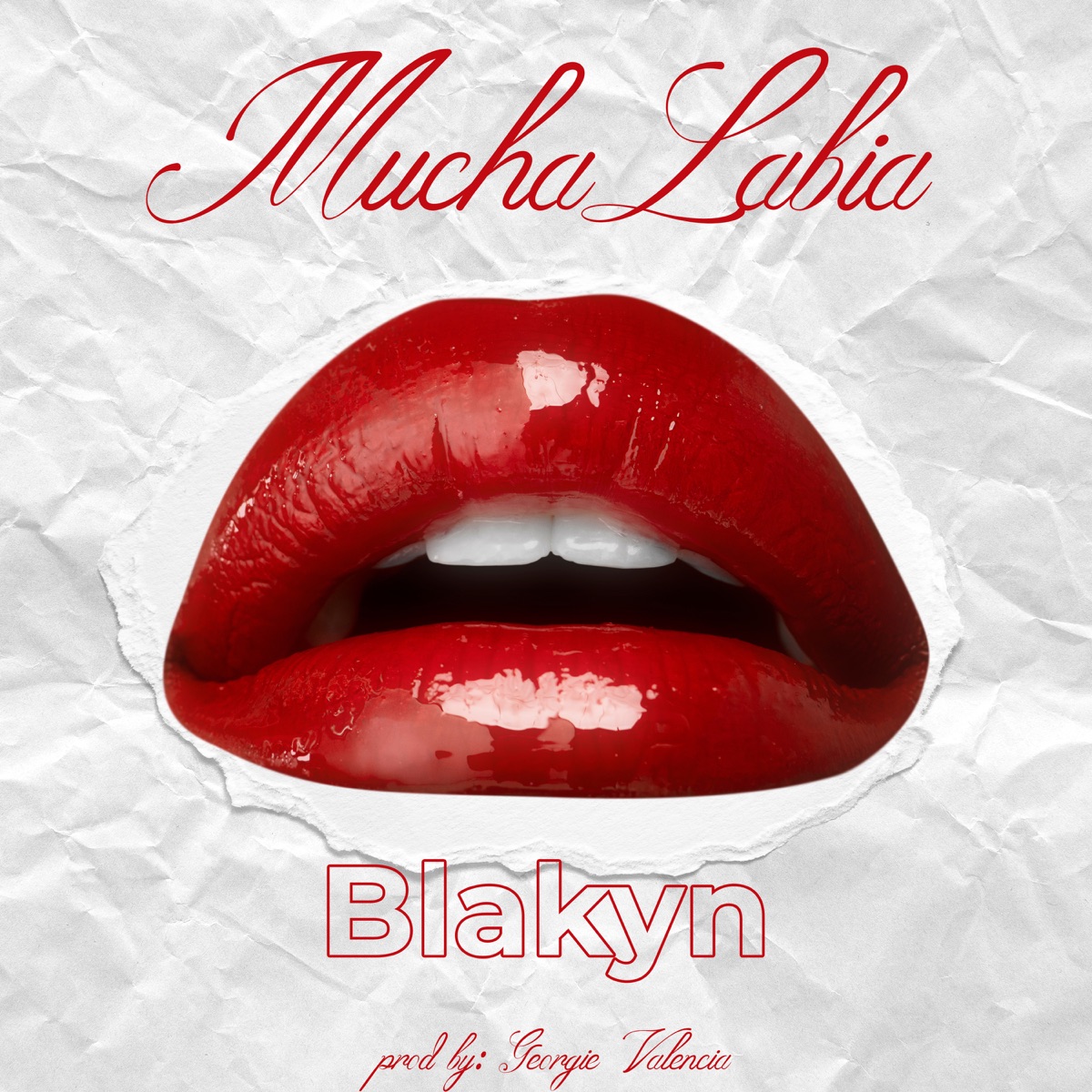 Mucha Labia - Single by Blakyn album cover