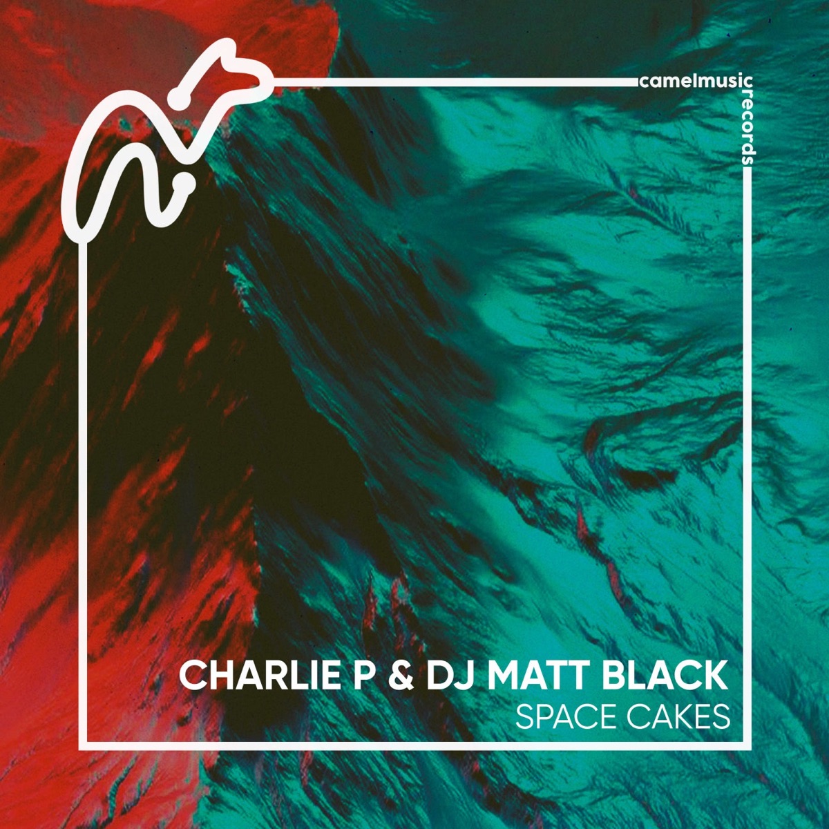 Space Cakes - Single by Charlie P & Dj Matt Black album cover
