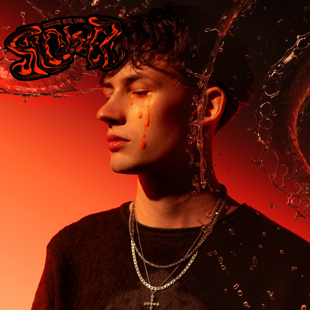 CZUJĘ SIĘ JAK SLOWEZ by slowez album cover