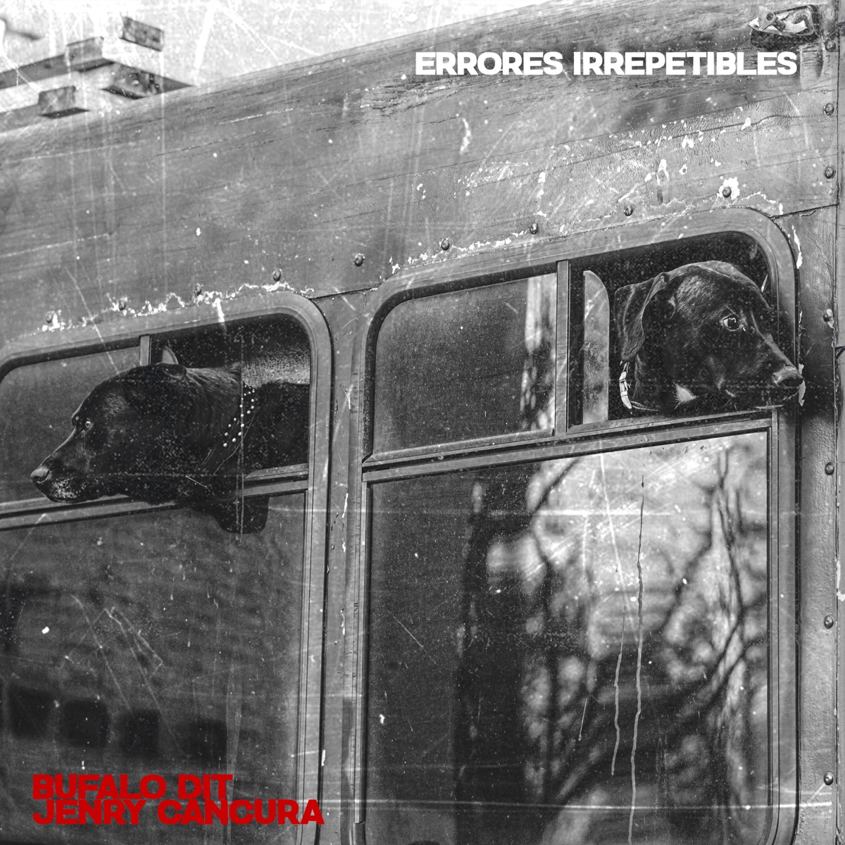 Errores Irrepetibles - EP by Bufalo Dit & Jenry Cancura album cover