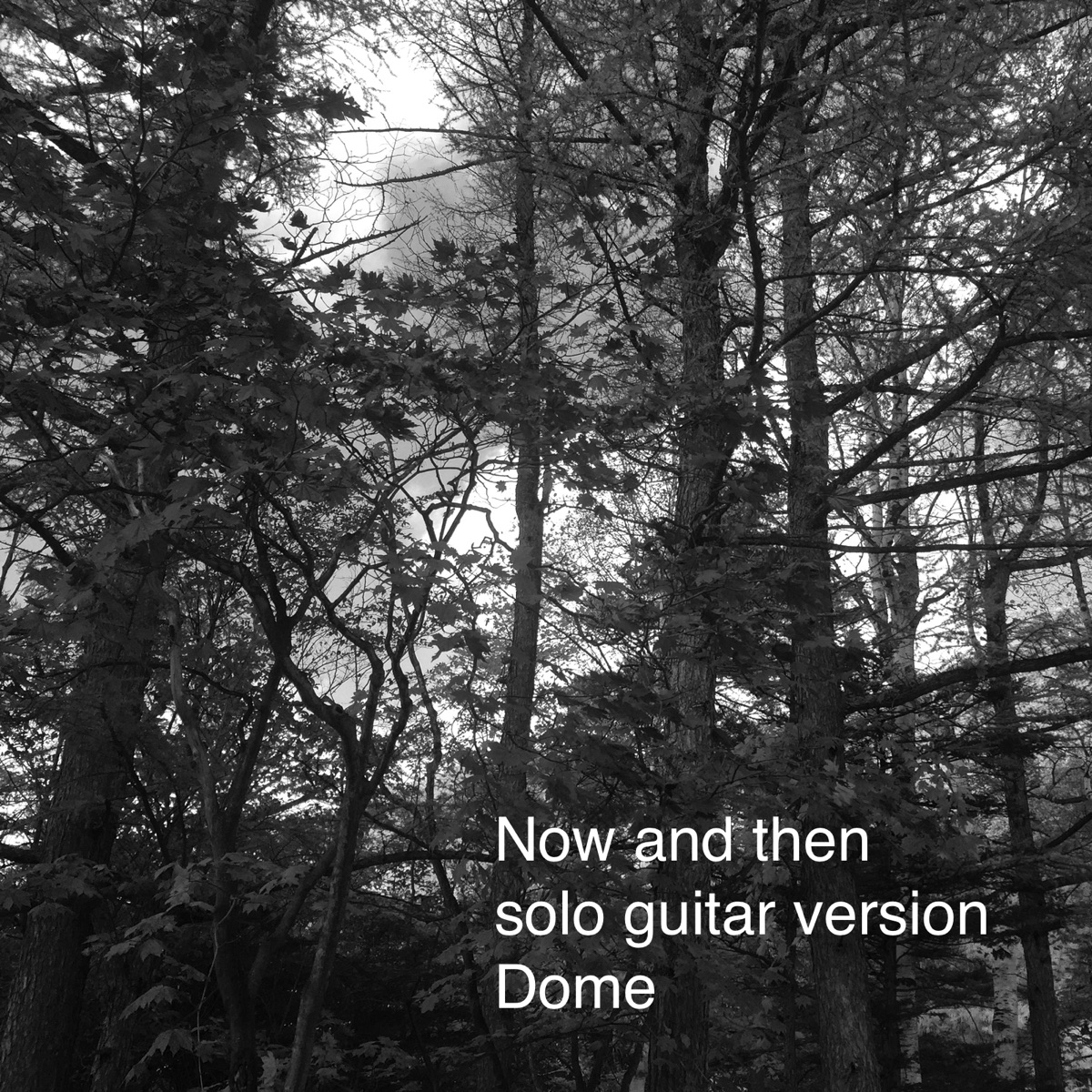 Now and Then (Solo Guitar Version) - Single by Dome album cover