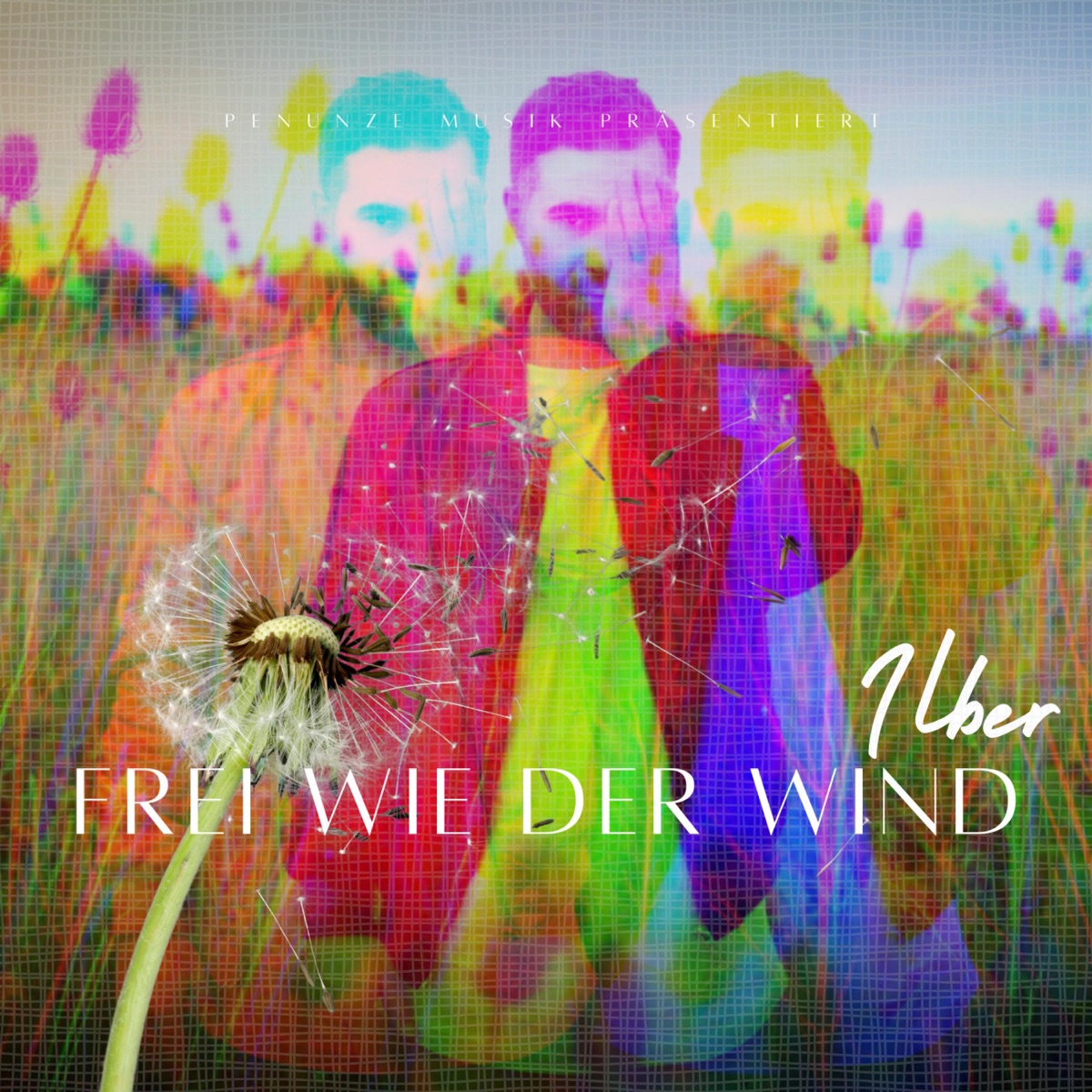 Frei wie der Wind - Single by Ilber album cover