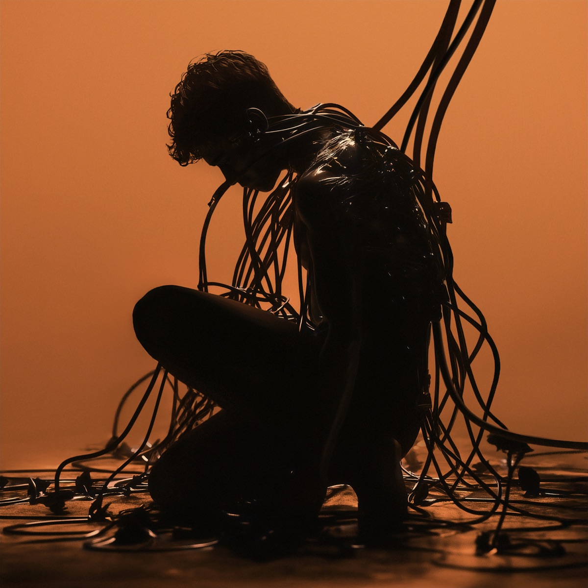 The End Of Genesys (Deluxe) by Anyma album cover