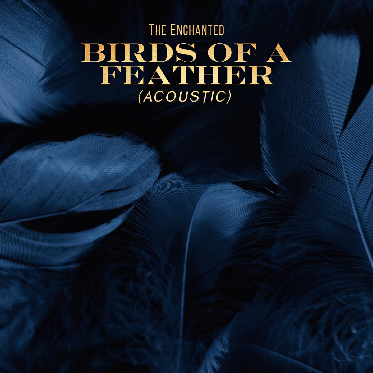 Birds of a Feather (Acoustic) - Single by The Enchanted album cover