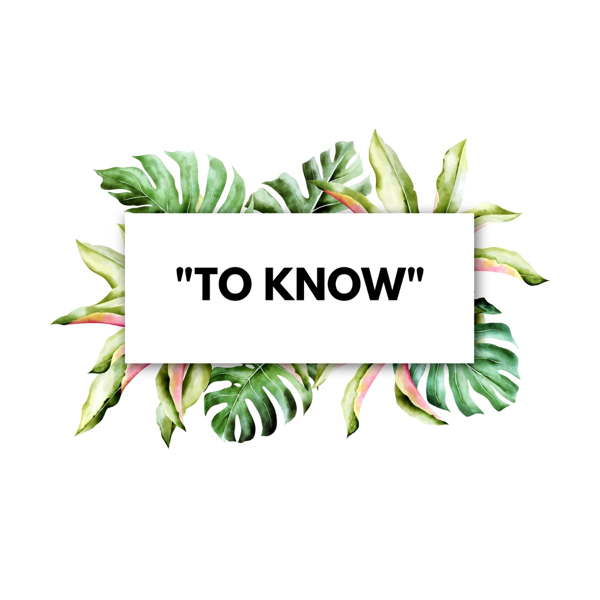 to know - Single by Saint Hills album cover