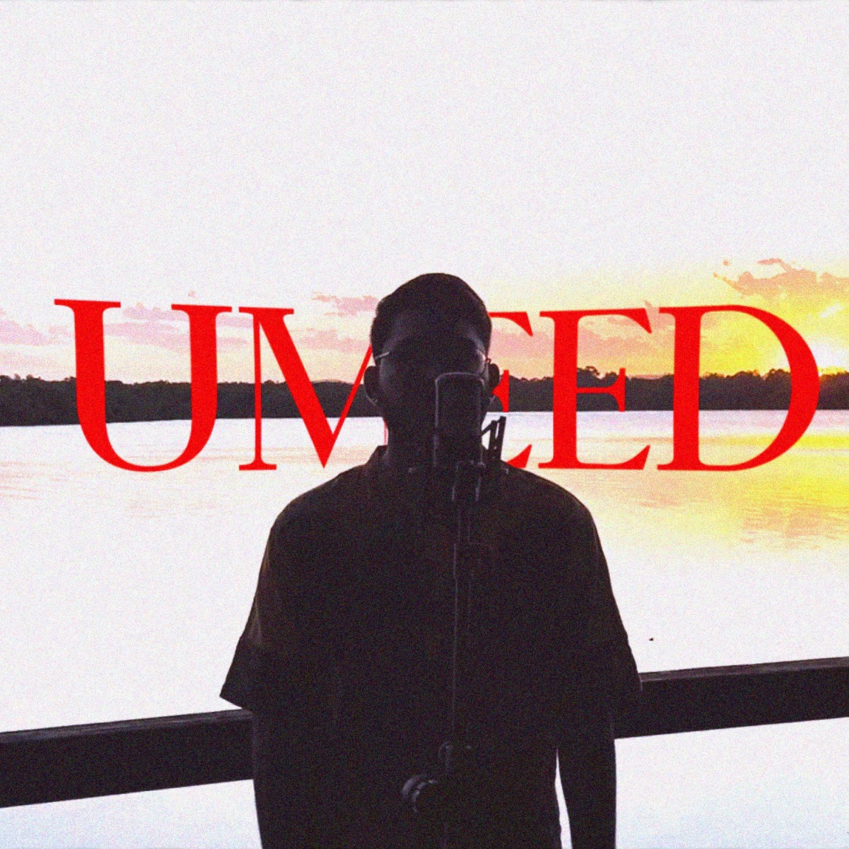 UMEED - Single by Aanant album cover