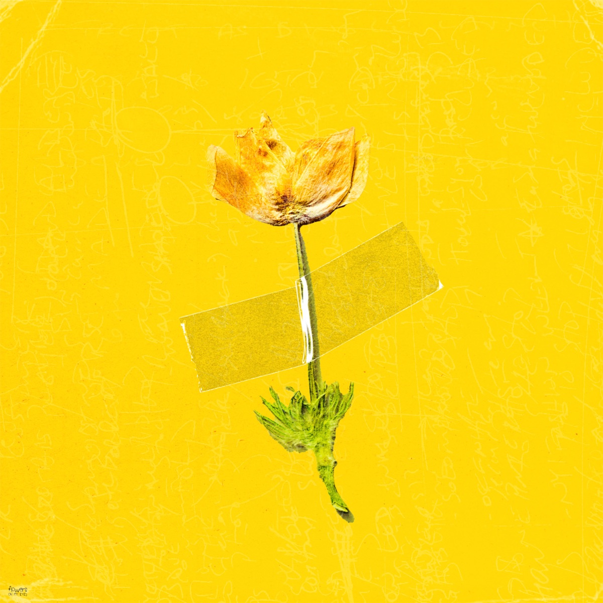 flowers on my eyes - Single by ANNABELLE album cover